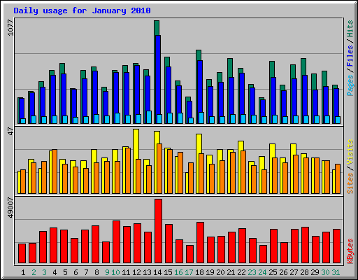 Daily usage for January 2010